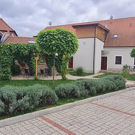 Kossuth Apartmanhaz * Tata